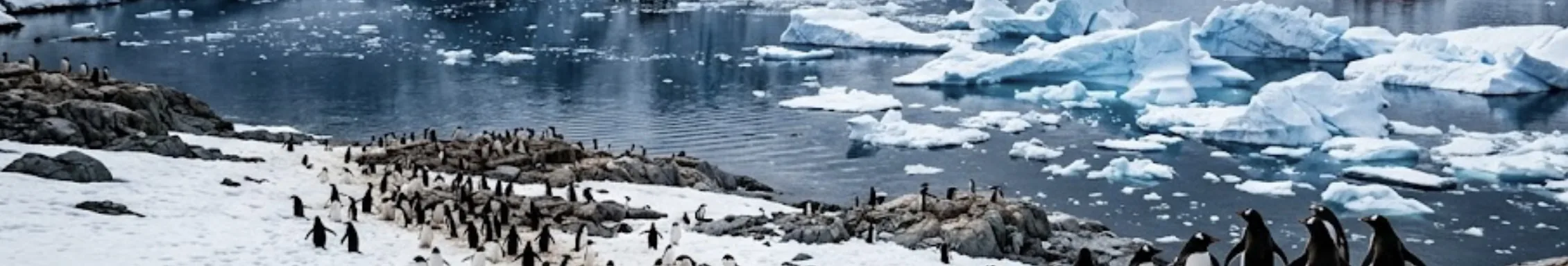 Adélie and gentoo penguin colony along an Antarctic shoreline, with icebergs drifting in the open water beyond.